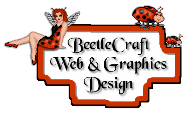 Our Portfolio - Examples - BeetleCraft Web & Graphics Design